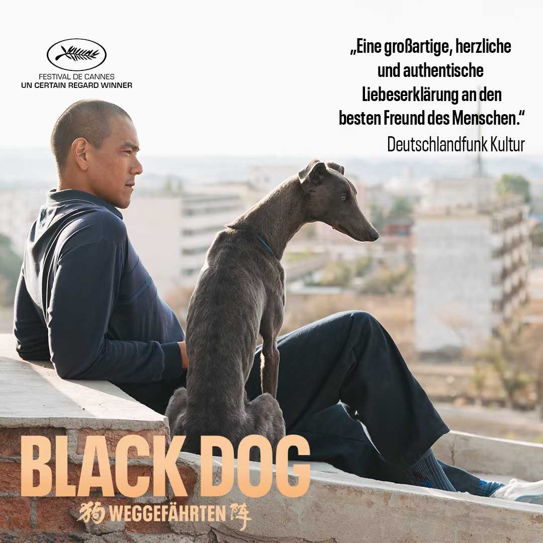管虎的最新电影《狗阵》德语版即将上映